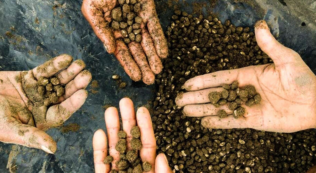 Image from: naturalfarming.niti.gov.in