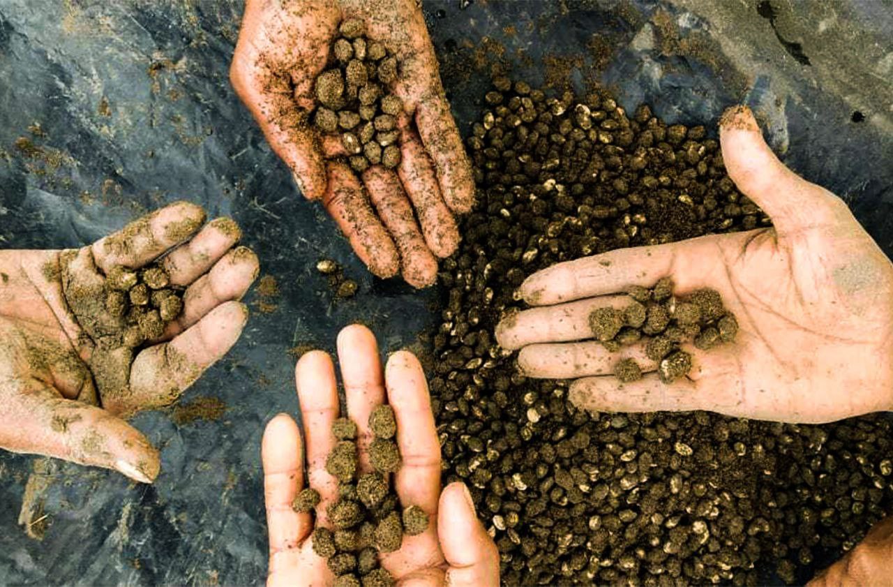 Image from: naturalfarming.niti.gov.in
