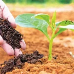 जलवायु परिवर्तन किसे कहते हैं? प्रभाव और उपाय!
